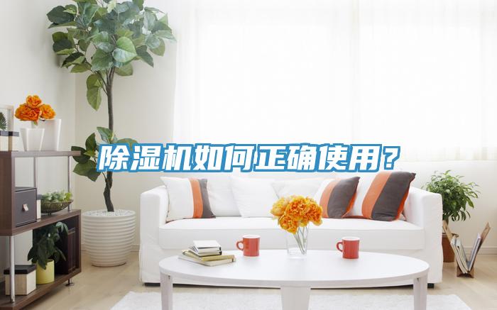 小黄片直播视频如何正确使用？