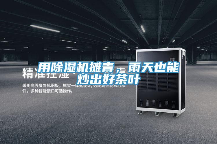 用小黄片直播视频摊青，雨天也能炒出好茶叶