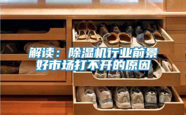 解读：小黄片直播视频行业前景好市场打不开的原因
