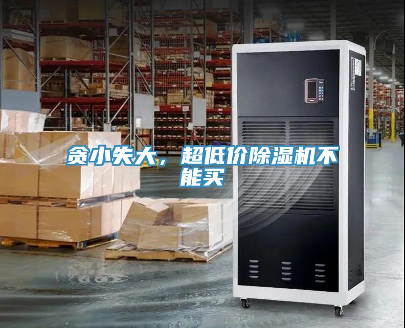 贪小失大，超低价小黄片直播视频不能买