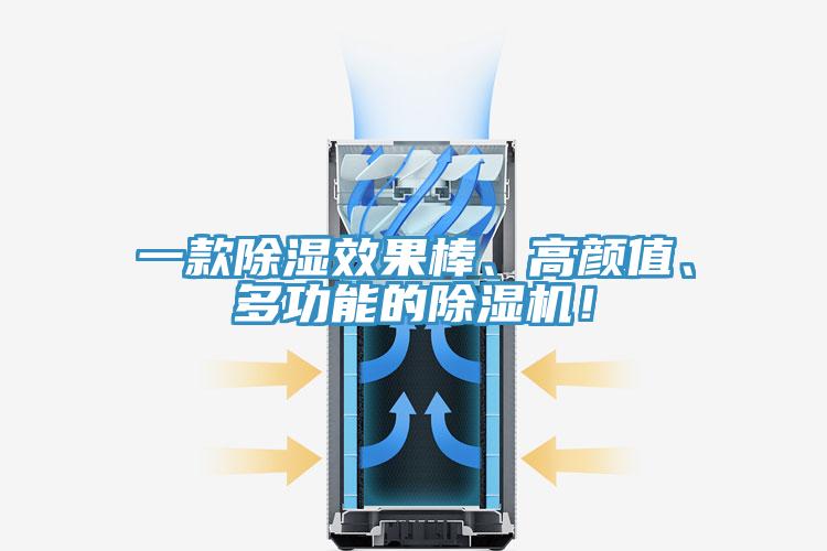 一款除湿效果棒、高颜值、多功能的小黄片直播视频！