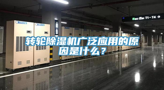 转轮小黄片直播视频广泛应用的原因是什么？
