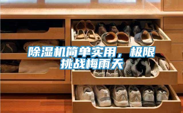 小黄片直播视频简单实用，极限挑战梅雨天