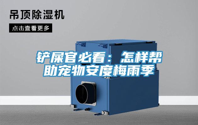 铲屎官必看：怎样帮助宠物安度梅雨季