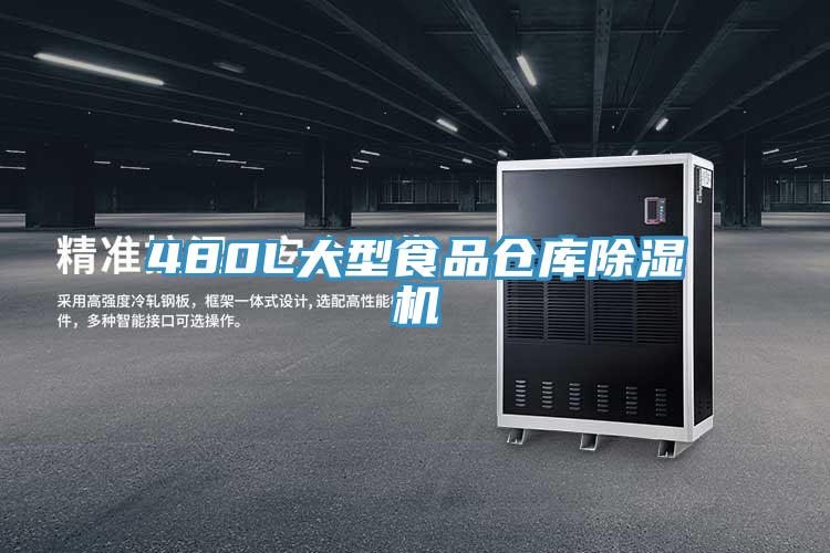 480L大型食品仓库小黄片直播视频