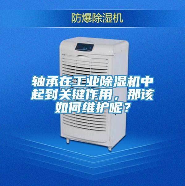 轴承在工业小黄片直播视频中起到关键作用，那该如何维护呢？