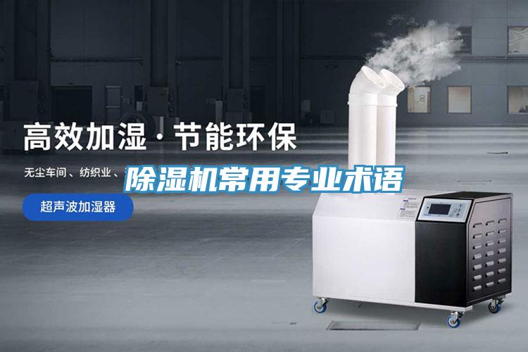小黄片直播视频常用专业术语
