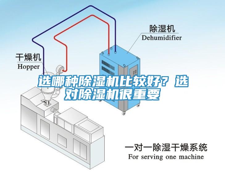 选哪种小黄片直播视频比较好？选对小黄片直播视频很重要