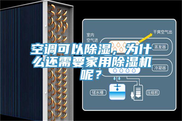 空调可以除湿，为什么还需要家用小黄片直播视频呢？