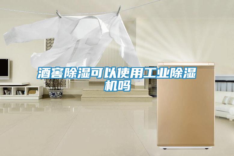 酒窖除湿可以使用工业小黄片直播视频吗