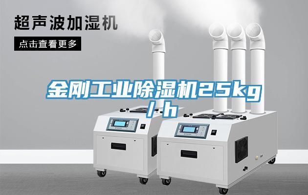 金刚工业小黄片直播视频25kg／h