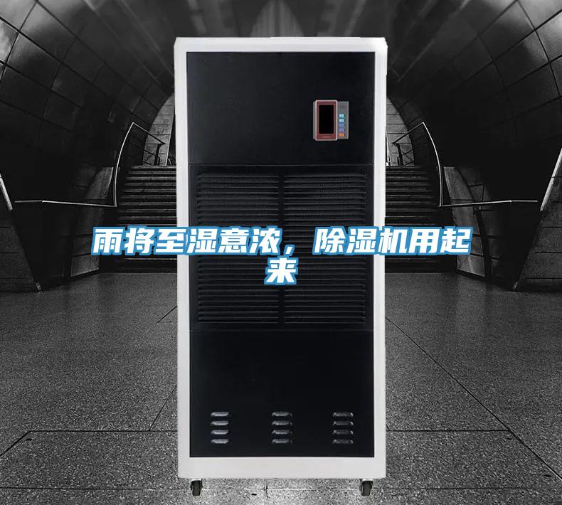 雨将至湿意浓，小黄片直播视频用起来