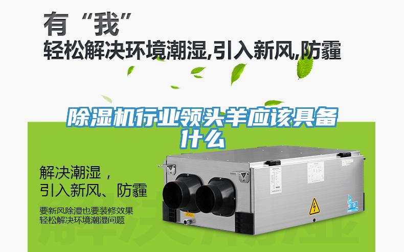 小黄片直播视频行业领头羊应该具备什么