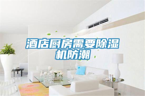 酒店厨房需要小黄片直播视频防潮