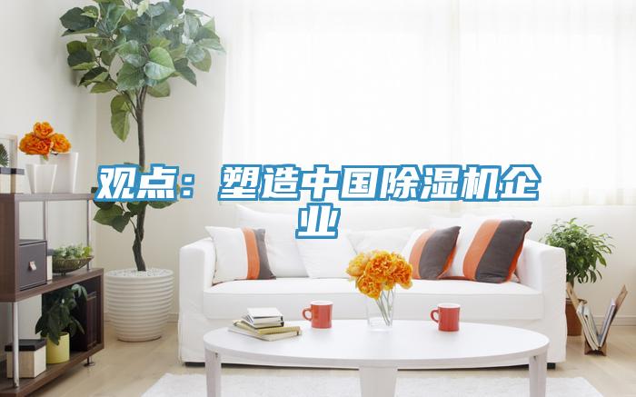 观点：塑造中国小黄片直播视频企业