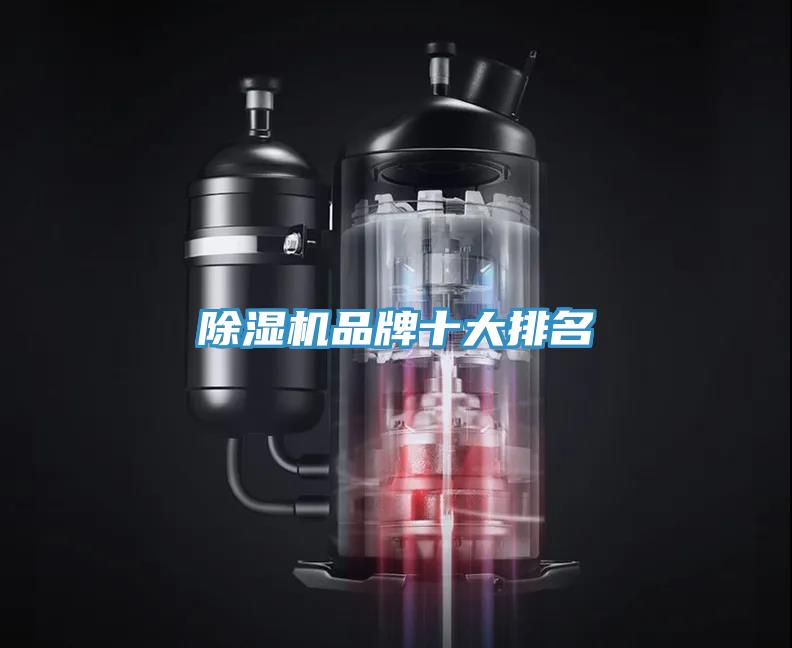 小黄片直播视频品牌十大排名