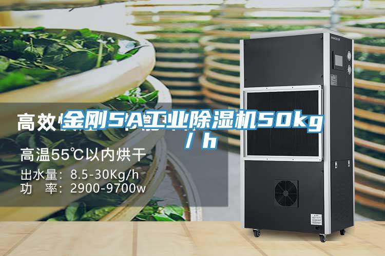 金刚5A工业小黄片直播视频50kg／h