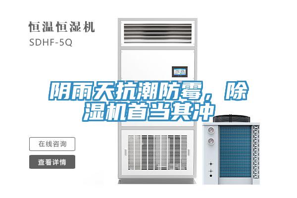 阴雨天抗潮防霉，小黄片直播视频首当其冲