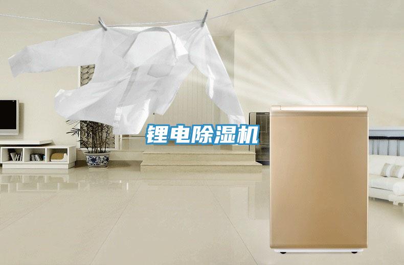 锂电小黄片直播视频