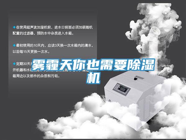 雾霾天你也需要小黄片直播视频