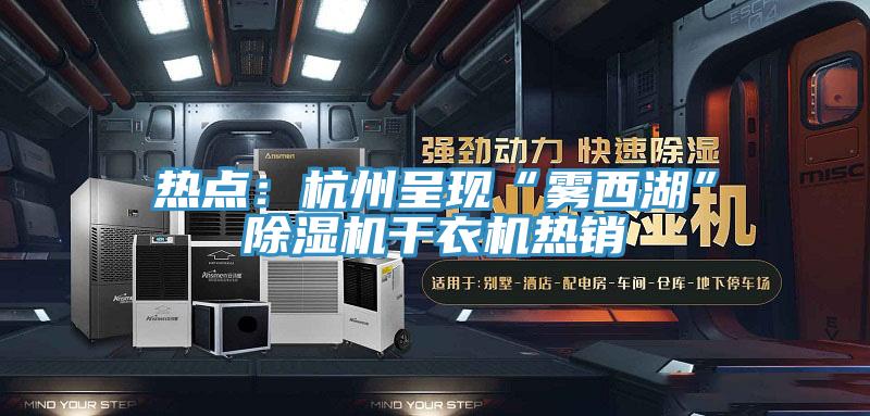 热点：杭州呈现“雾西湖”小黄片直播视频干衣机热销
