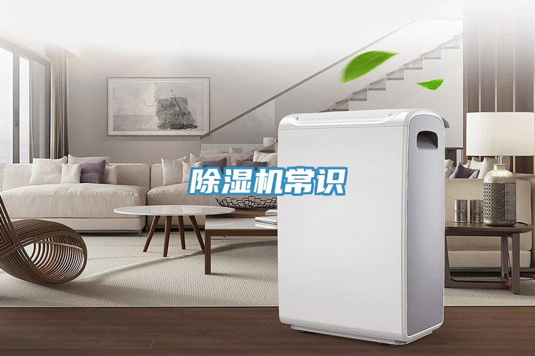 小黄片直播视频常识