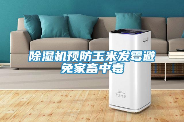 小黄片直播视频预防玉米发霉避免家畜中毒