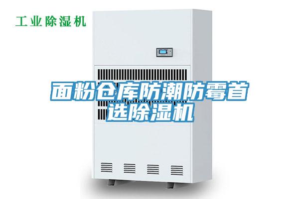 面粉仓库防潮防霉首选小黄片直播视频