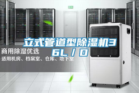 立式管道型小黄片直播视频36L／D