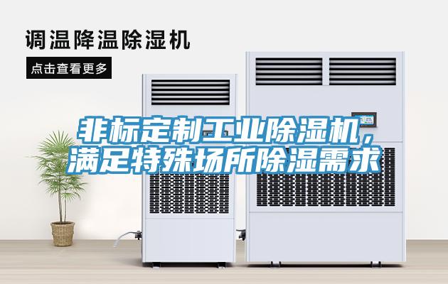 非标定制工业小黄片直播视频，满足特殊场所除湿需求
