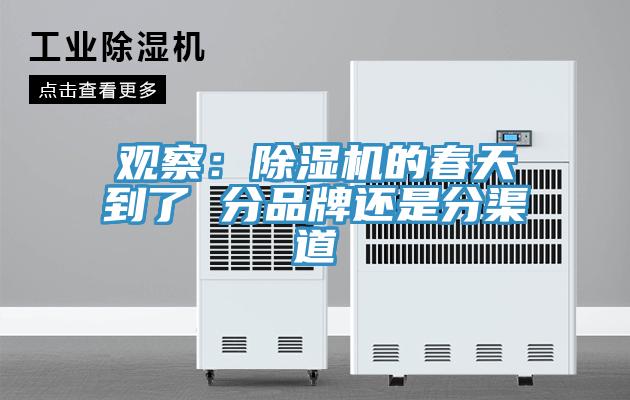 观察：小黄片直播视频的春天到了 分品牌还是分渠道