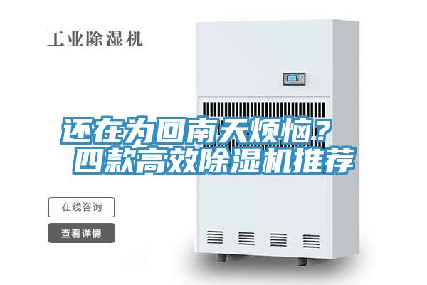 还在为回南天烦恼？ 四款高效小黄片直播视频推荐