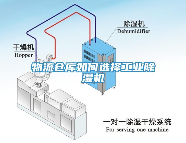 物流仓库如何选择工业小黄片直播视频
