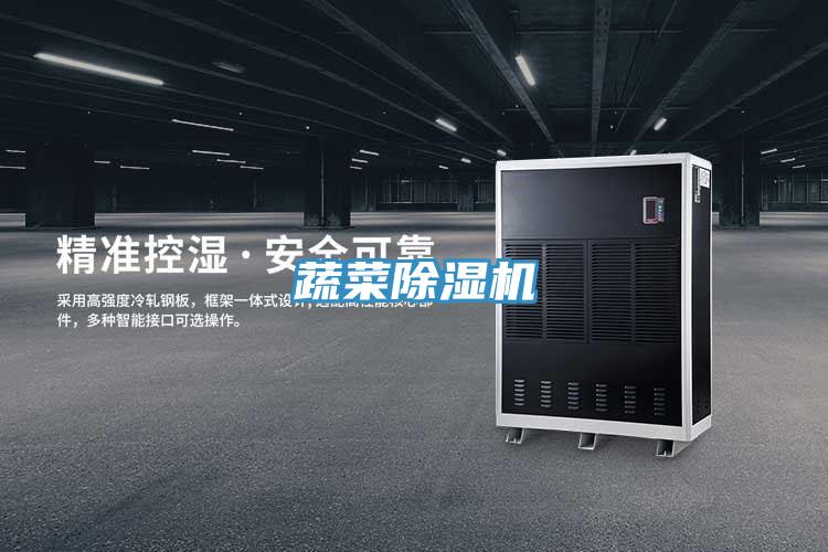 蔬菜小黄片直播视频