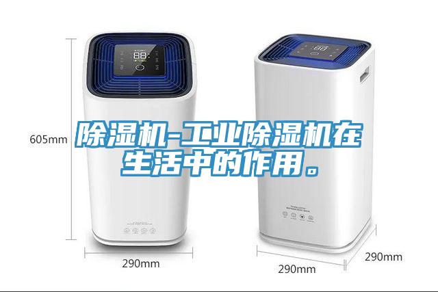 小黄片直播视频-工业小黄片直播视频在生活中的作用。
