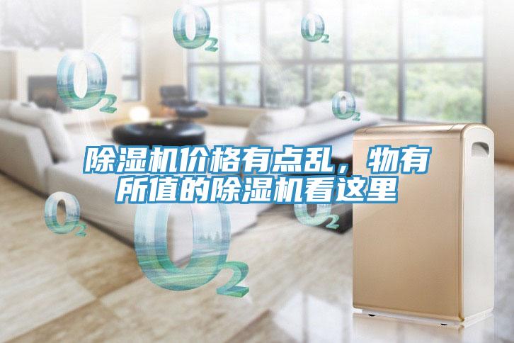 小黄片直播视频价格有点乱，物有所值的小黄片直播视频看这里