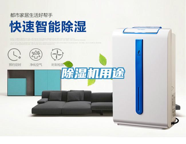 小黄片直播视频用途