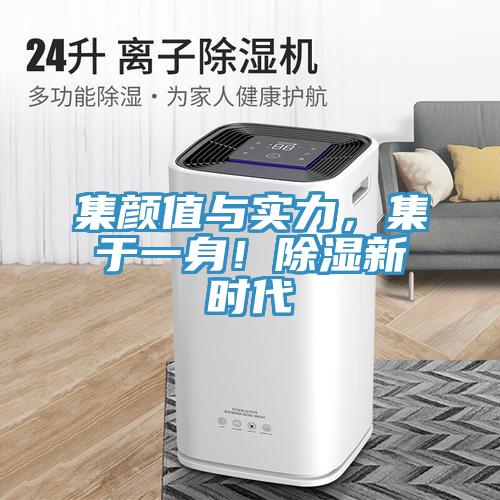 集颜值与实力，集于一身！除湿新时代