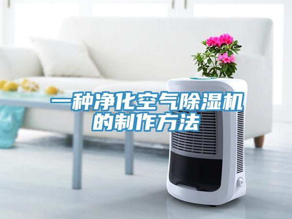 一种净化空气小黄片直播视频的制作方法