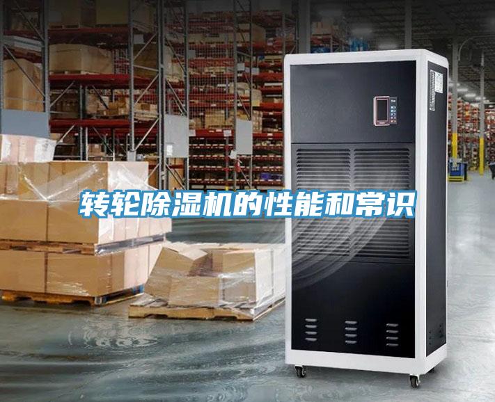 转轮小黄片直播视频的性能和常识