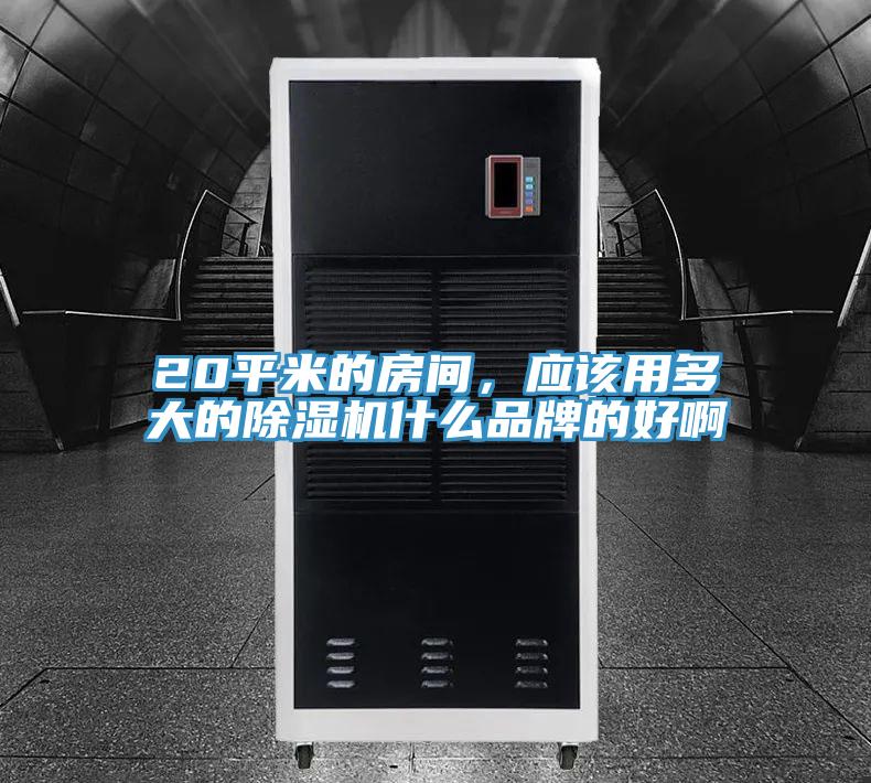 20平米的房间，应该用多大的小黄片直播视频什么品牌的好啊