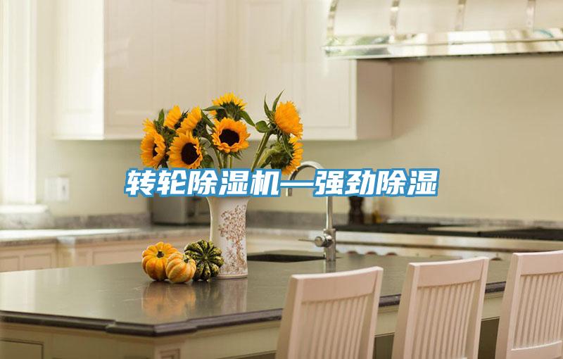 转轮小黄片直播视频—强劲除湿