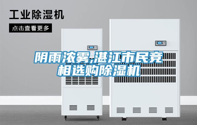 阴雨浓雾,湛江市民竞相选购小黄片直播视频