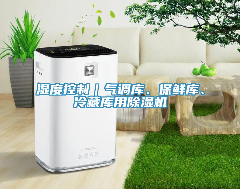 湿度控制｜气调库、保鲜库、冷藏库用小黄片直播视频