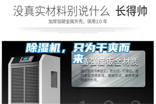 小黄片直播视频，只为干爽而来