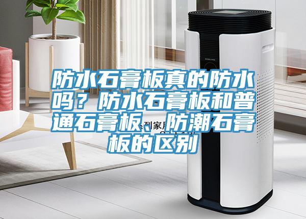 防水石膏板真的防水吗？防水石膏板和普通石膏板、防潮石膏板的区别