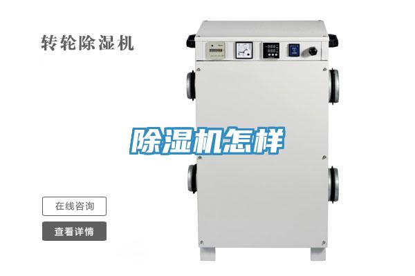 小黄片直播视频怎样
