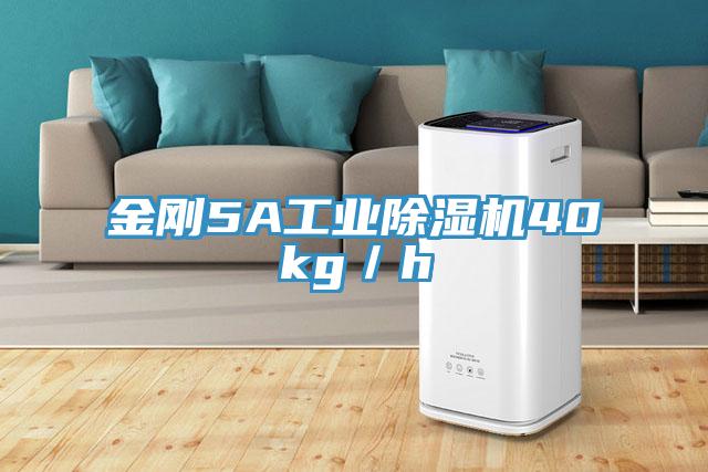 金刚5A工业小黄片直播视频40kg／h