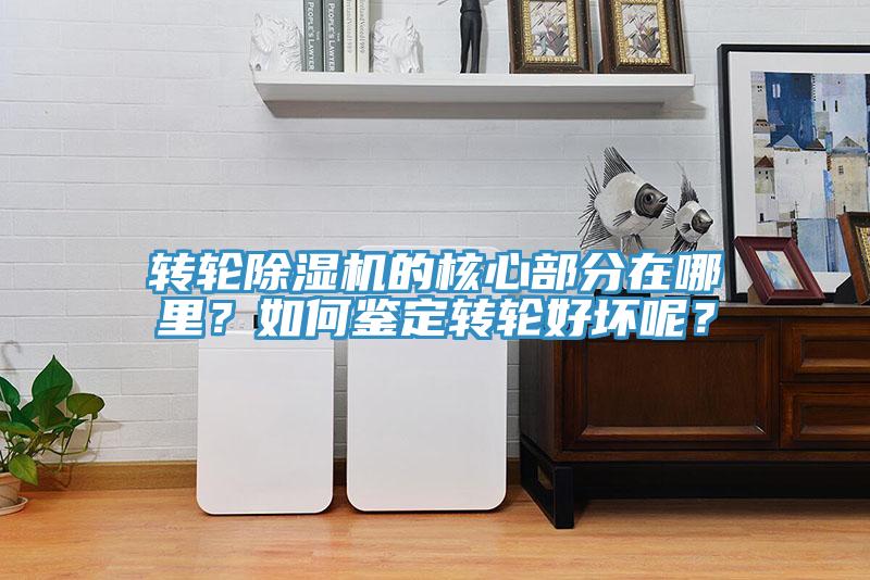 转轮小黄片直播视频的核心部分在哪里？如何鉴定转轮好坏呢？