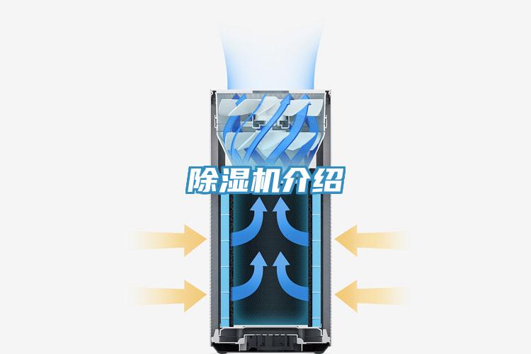 小黄片直播视频介绍